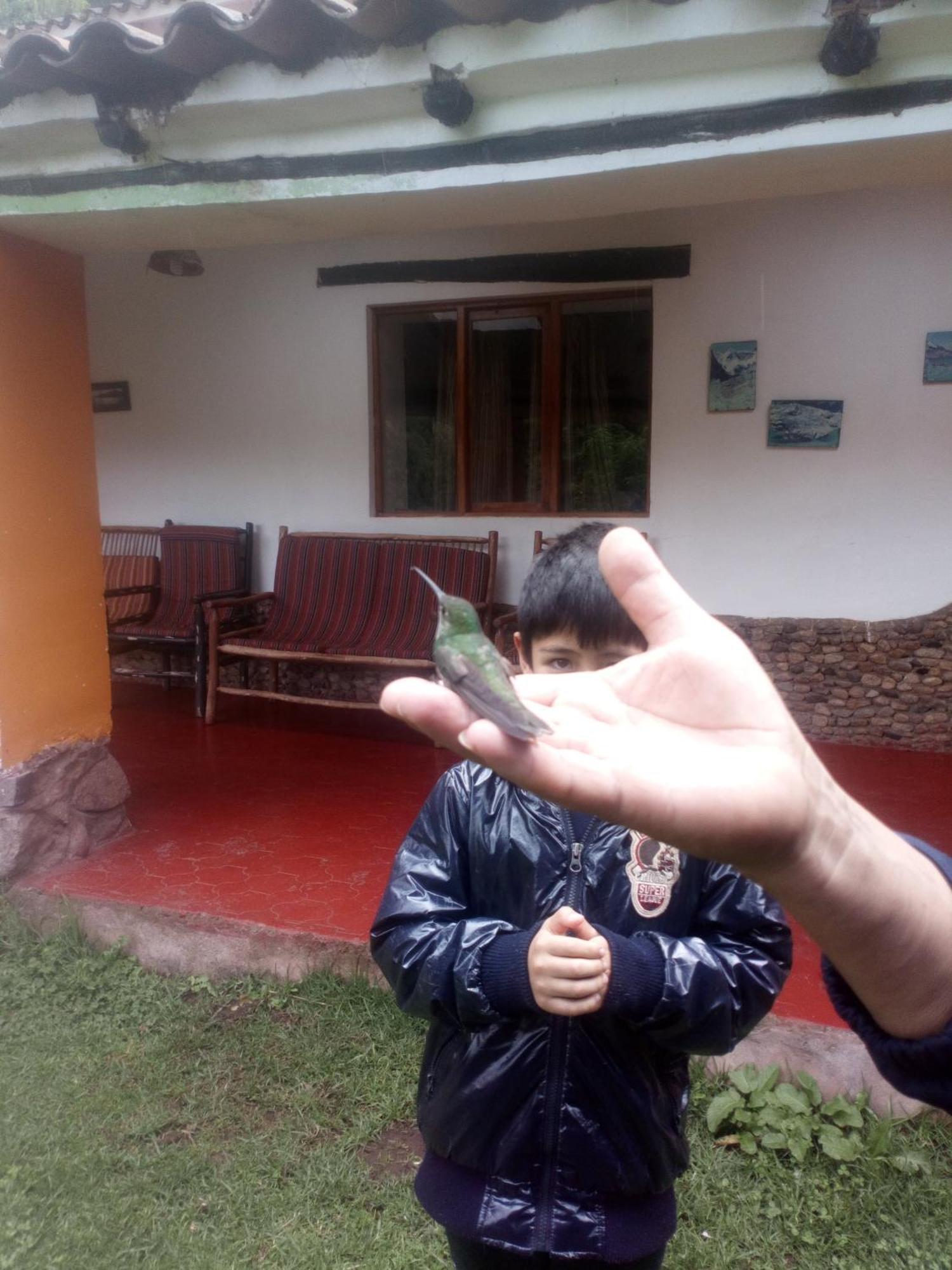 Ecolodge Ccatan Urubamba Extérieur photo